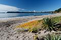 2007 04 24 Coromandel Peninsula 002_DXO